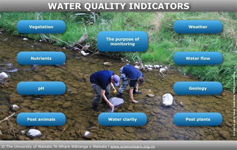 what are the indicators of water quality